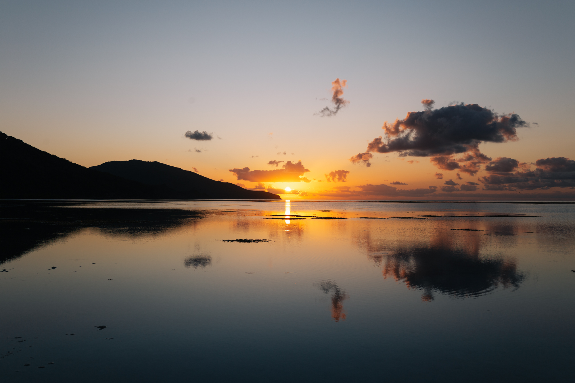 __wf_reserved_inherit